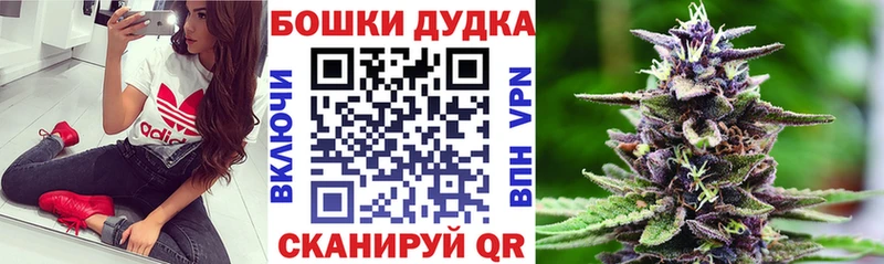 Бошки Шишки SATIVA & INDICA Купить Клинцы
